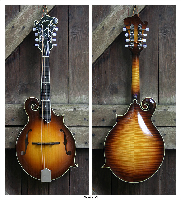 sold mandolins